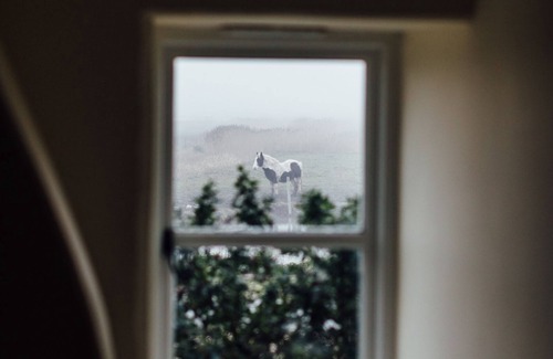 Salthouse Cottage | Gorgeous flint cottage overlooking the marshes, walking distance to beach