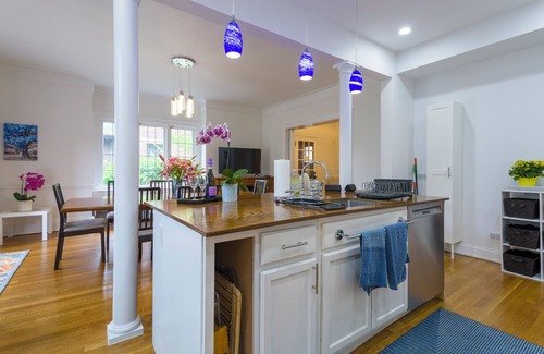 Hyde Park Maison | Gorgeous historic mansion on UChicago campus. Renovation with original detail.
