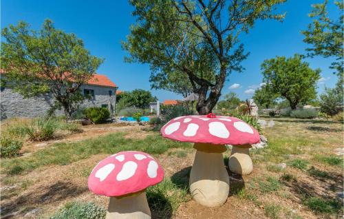 Gornje Ceranje Maison | Gorgeous Home In Gornje Ceranje