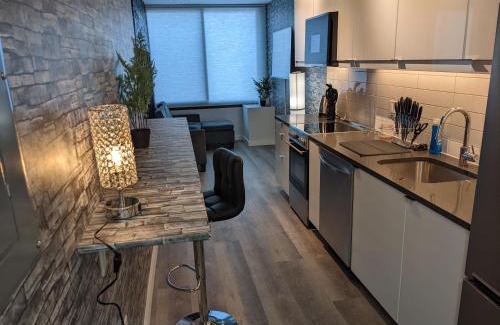 Downtown Appartement | Gorgeous looking 2 bedroom Apt in downtown silverspring