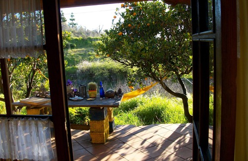Puntagorda Maison | Hist. OASIS sur les oranges organiques Finca (40 000 m2), Landlust, nature, l'emplacement UNIQUE