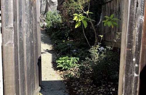 Berkeley Hills Appartement | Gorgeous studio with WiFi in Berkeley