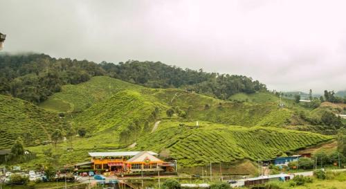 Kuala Terla Appartement | Gorgeous Sunset & Tea Plantation View-Premium Hotel Bed