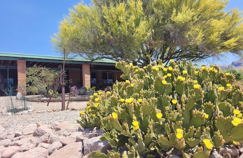 Oro Valley Maison | Gorgeous Views, Landscaping, Pristine Pool Near Catalina Mountains, WiFi, More!