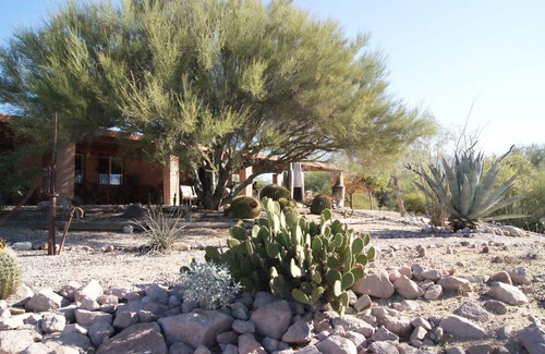 Oro Valley Maison | Gorgeous Views, Landscaping, Pristine Pool Near Catalina Mountains, WiFi, More!
