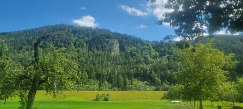 Spital am Pyhrn Maison | Gorshof