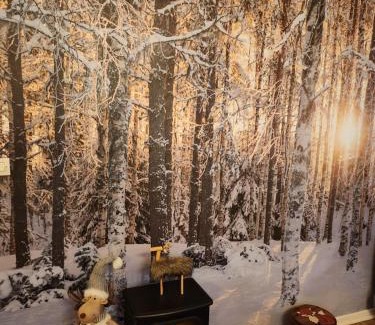 Greolieres les Neiges Appartement | Gréolières Les Neiges