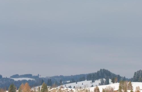Oberstaufen Appartement | Grün und herzlich