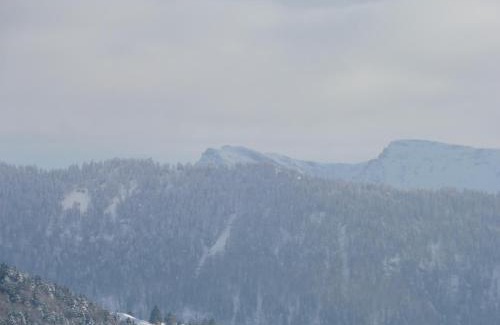 Oberstaufen Appartement | Grün und herzlich
