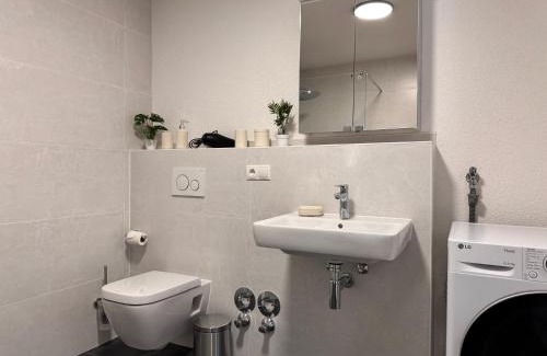 Ortenberg Appartement | Grüne Auszeit - zwischen Schwarzwald & Offenburg