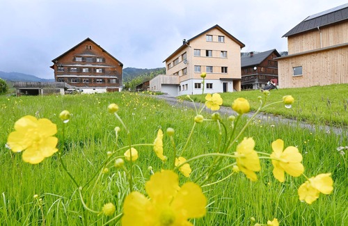 Grossdorf Appartement | Grüne Wiese - Ferienhof Landerleben