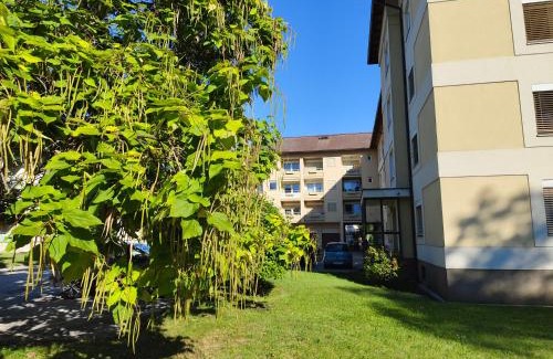 Klagenfurt am Woerthersee Appartement | Grünerbalkon Ferienappartement
