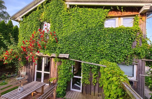 Franken Siedlung Maison | Grünes Sundchalet - Holiday home