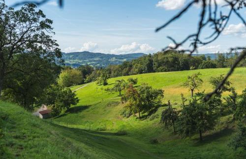 Rimbach Appartement | Grünewaldhof in Rimbach im Odenwald
