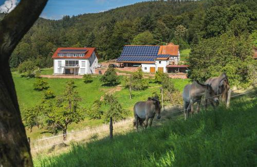 Rimbach Appartement | Grünewaldhof in Rimbach im Odenwald