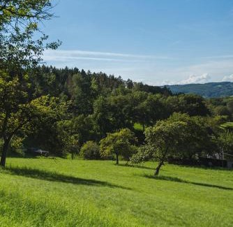 Rimbach Appartement | Grünewaldhof in Rimbach im Odenwald