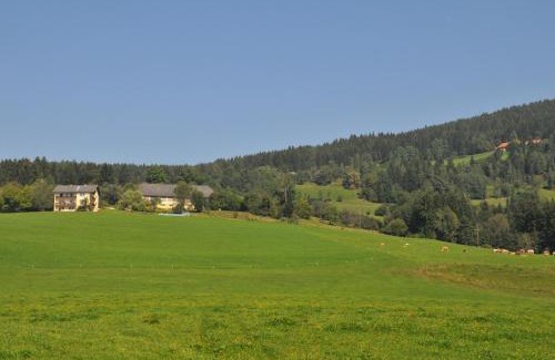 Liebenfels Appartement | Graglerhof