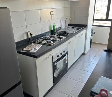 Concepcion Appartement | Gran Departamento Concepción