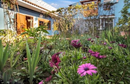 Realejo Alto Cottage | Gran House Of Rose Los Realejos