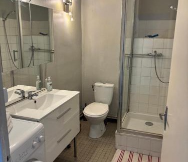 Romans-sur-Isere Appartement | Grand 2 pièces lumineux plein centre ville