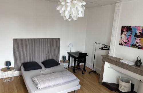 Romans-sur-Isere Appartement | Grand 2 pièces lumineux plein centre ville