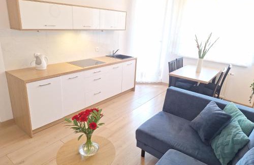 West Pomeranian Voivodeship Appartement | Grand Apartament - prywatny parking, blisko Szpital Arkońska