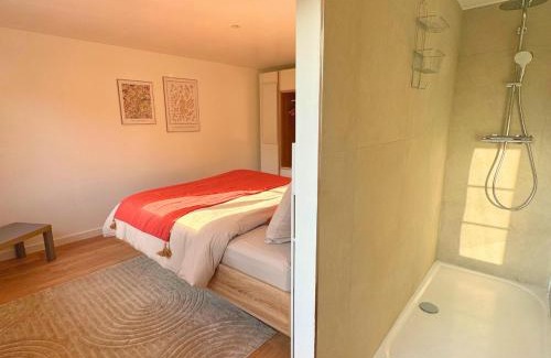 Steinbrunn-le-Bas Appartement | Grand appartement chaleureux