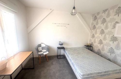 Belfort Appartement | Grand appartement centre-ville