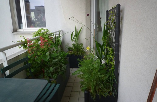 Les Fougeres Appartement | Grand appartement Gambetta pour JO 2024