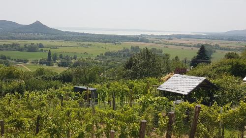 Hegymagas Maison | Grand Cru 4 Vendégház
