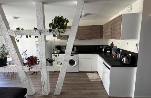 Haguenau Appartement | Grand et lumineux 2 pièces avec climatisation en zone pietonne