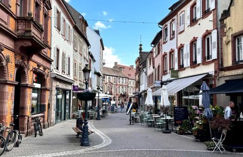 Haguenau Appartement | Grand et lumineux 2 pièces avec climatisation en zone pietonne