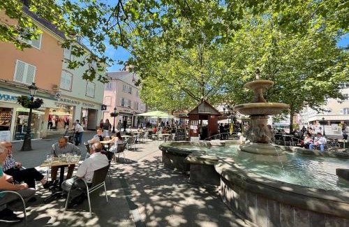 Haguenau Appartement | Grand et lumineux 2 pièces avec climatisation en zone pietonne
