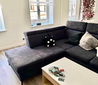 Haguenau Appartement | Grand et lumineux 2 pièces avec climatisation en zone pietonne