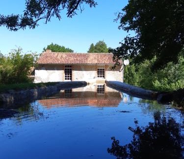 Saint-Laurent-du-Mottay Maison | Grand gîte dans son écrin de Nature