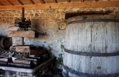 Saint Bonnet des Quarts Maison | Grand Gite Maison d Alice Auvergne - 15 personnes