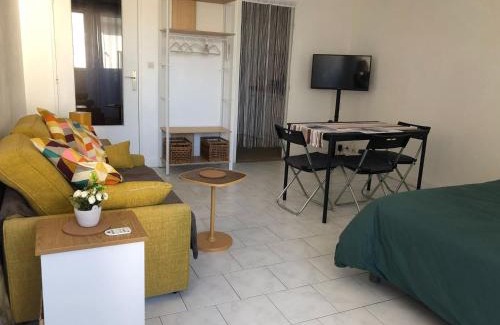 La Ferte-sous-Jouarre Appartement | Grand Studio calme centre-ville