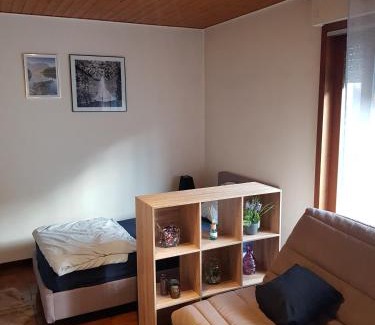 Marnaz Appartement | grand studio dans une résidence prive avec une cuisine et salle de bain séparé un parking gratuit et une magnifique vue sur les montagness