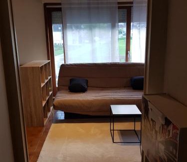 Marnaz Appartement | grand studio dans une résidence prive avec une cuisine et salle de bain séparé un parking gratuit et une magnifique vue sur les montagness