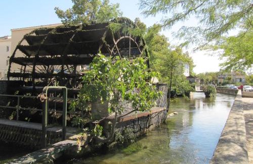 L'Isle-sur-la-Sorgue Appartement | Grand studio République