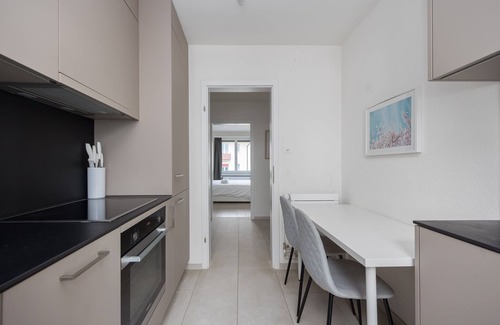 Oerlikon Appartement | Grand Terrace Suite: Elite 4.5BR (BA-52)