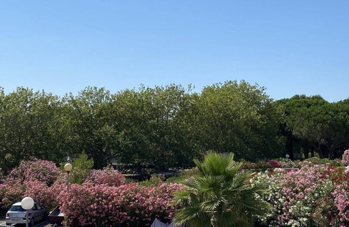Le Grand Travers Appartement | Grands travers , T3 , Clim , Parking , Plage 150m.......