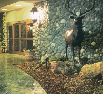 Grand Junction Hôtel | Grand Vista Hotel Grand Junction