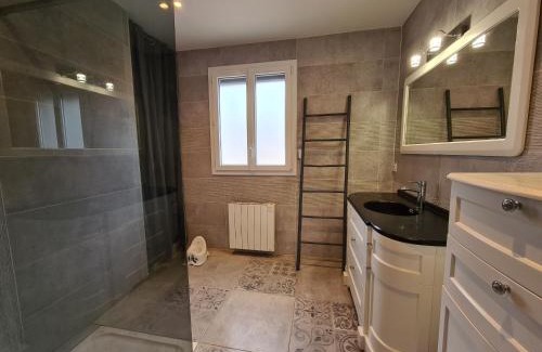 Lucay-le-Male Maison | Grande Maison au Bord d'un Lac avec Spa, Jardin Clôturé et Proche du ZooParc de Beauval - FR-1-591-336