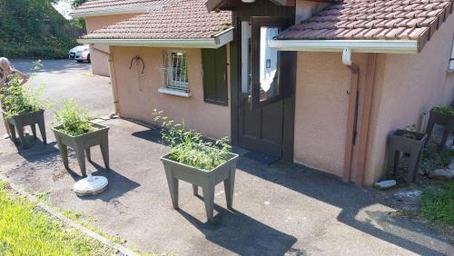 Salies-de-Bearn Appartement | Grande maison sur 2000m° de terrain