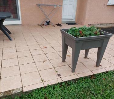 Salies-de-Bearn Appartement | Grande maison sur 2000m° de terrain