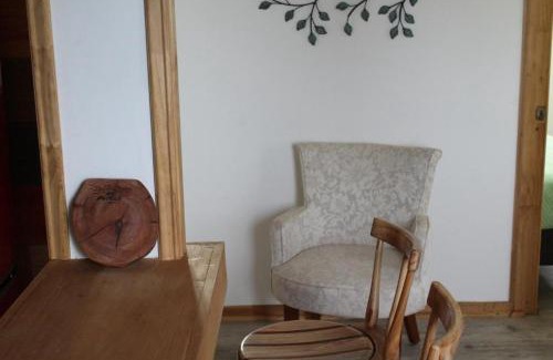 La Union Appartement | Grandioso alojamiento en el Sur cercano a Osorno y Valdivia