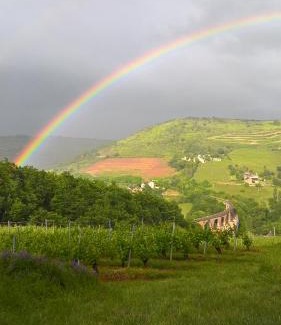 Goutrens Maison | grange rénovée en pleine nature