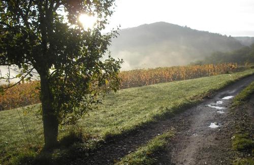 Goutrens Maison | grange rénovée en pleine nature