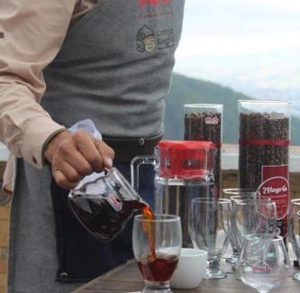 Ejido Maison | Granja, Cafetalera Alegría 1